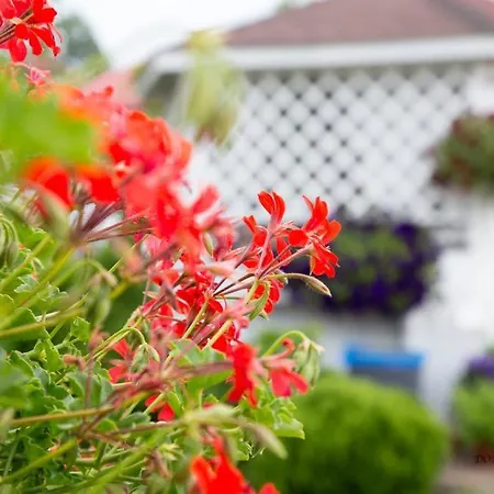 Center- Camp Jarosławiec